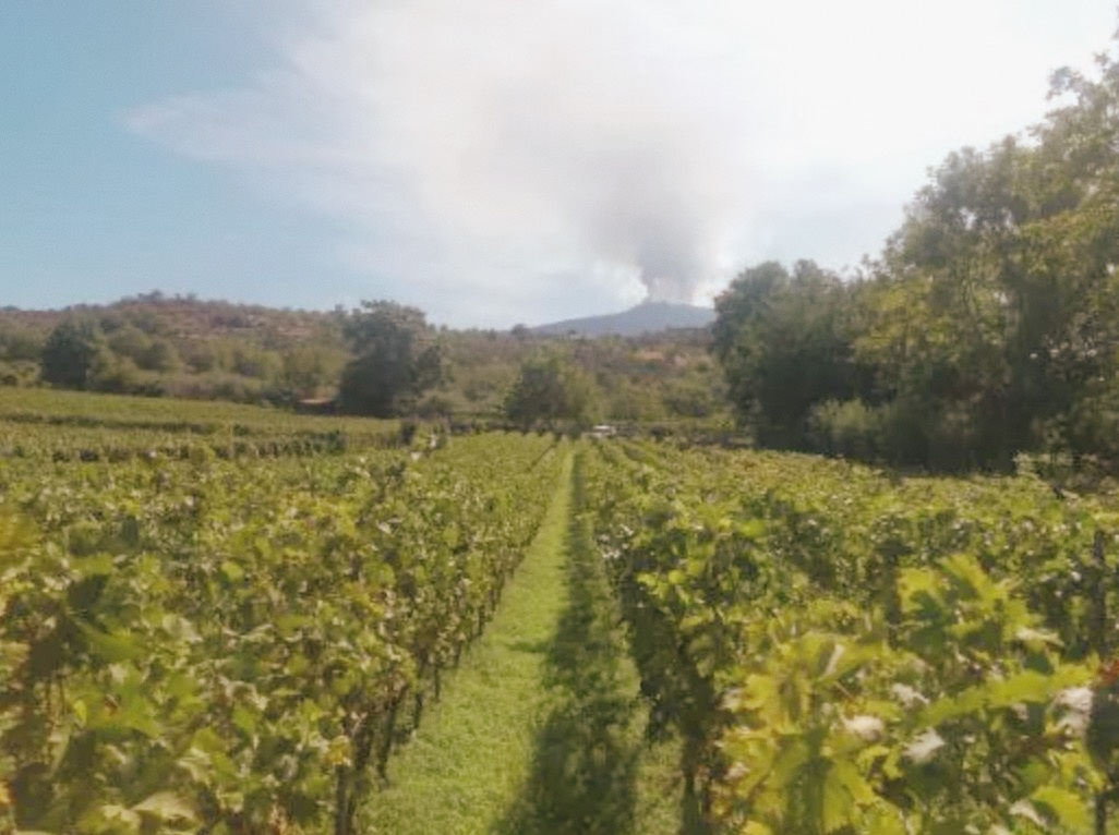 Wijndomein Eno Trio maakt op de flanken van de Etna natuurlijke en ongefilterde wijnen.