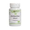 Surya Bio Phyllanthus niruri Kapseln Surya Bio Phyllanthus niruri Kapseln