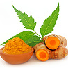 Surya CurcuNeem CurcuNeem - 120 Vegacaps Surya CurcuNeem CurcuNeem - 120 Vegacaps