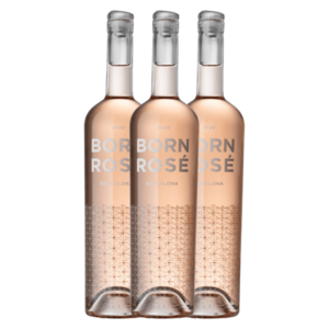 Premium Born Rosé Barcelona 75cl hover