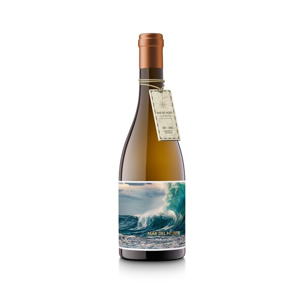 Vinigalicia Albariño 'Mar del Norte' Rías Baixas