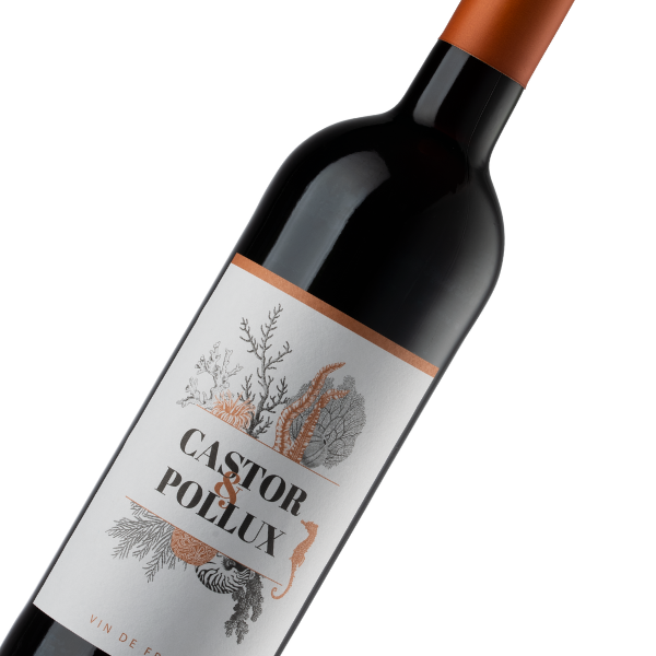 Castor & Pollux Vin de France Rouge | Wijn Cadeau | incl. Gratis Kaartje