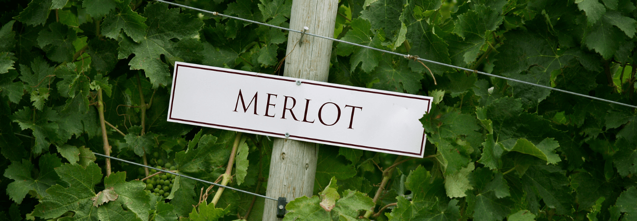 Dag van de Merlot