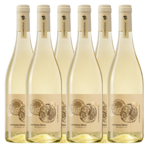 Sauvignon delle Venezie hover