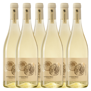 Sauvignon delle Venezie hover