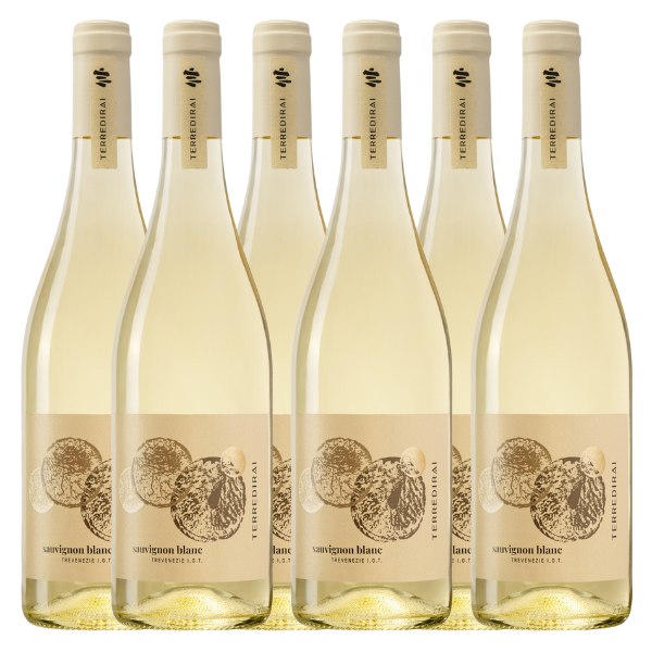 Terredirai Sauvignon delle Venezie | Per doos (6)