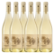 Terredirai Sauvignon delle Venezie | Per doos (6)