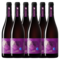 Terredirai Terredirai Merlot | Doos (6)