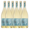 Terredirai Terredirai Pinot Grigio delle Venezie | Per doos (6)