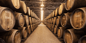 Top 5 exclusieve port