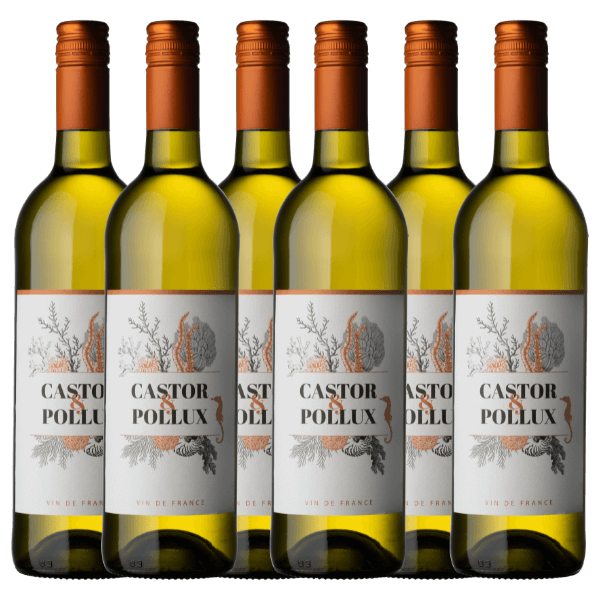 Castor & Pollux Vin de France Blanc | Doos (3)