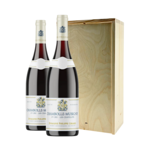 Chambolle Musigny 1er Cru 'Les Chatelots' | Wijnpakket