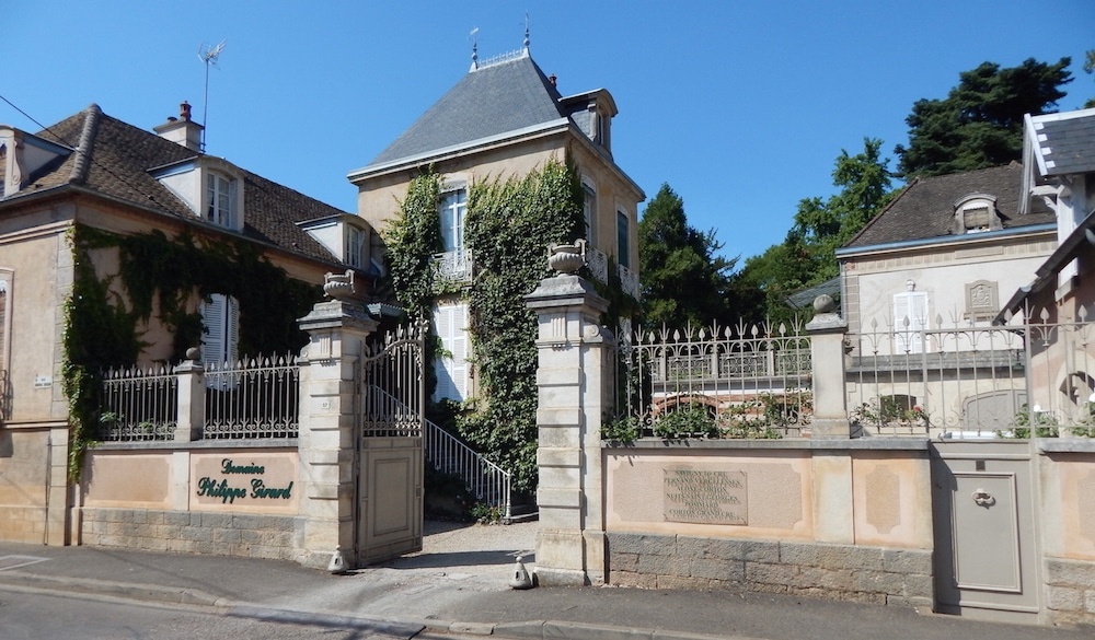 Bourgogne als wijn cadeau: zo kies je de juiste fles