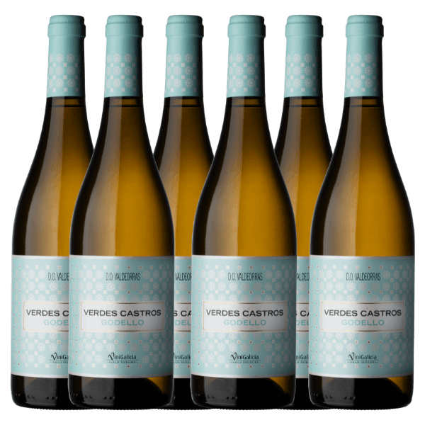Vinigalicia Verdes Castros Godello Valdeorras | Doos (3)
