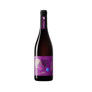 Terredirai Merlot