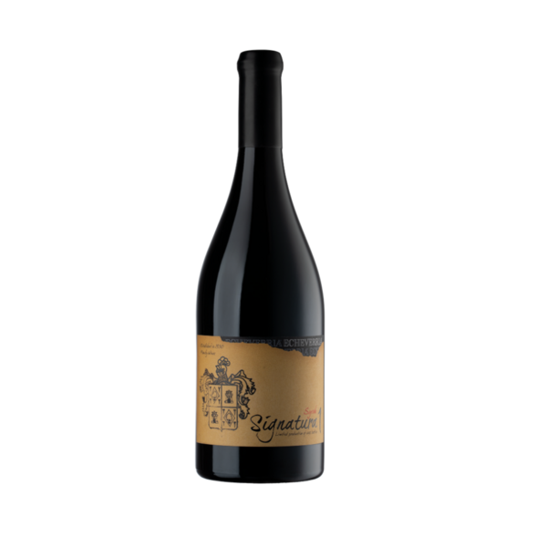 Viña Echeverria Chileense wijnen Signatura 1 Syrah Chilli