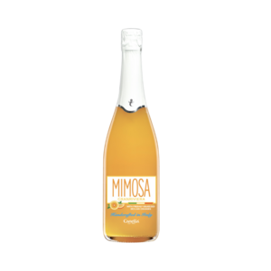 Canella Mimosa 'Gran Riviera'