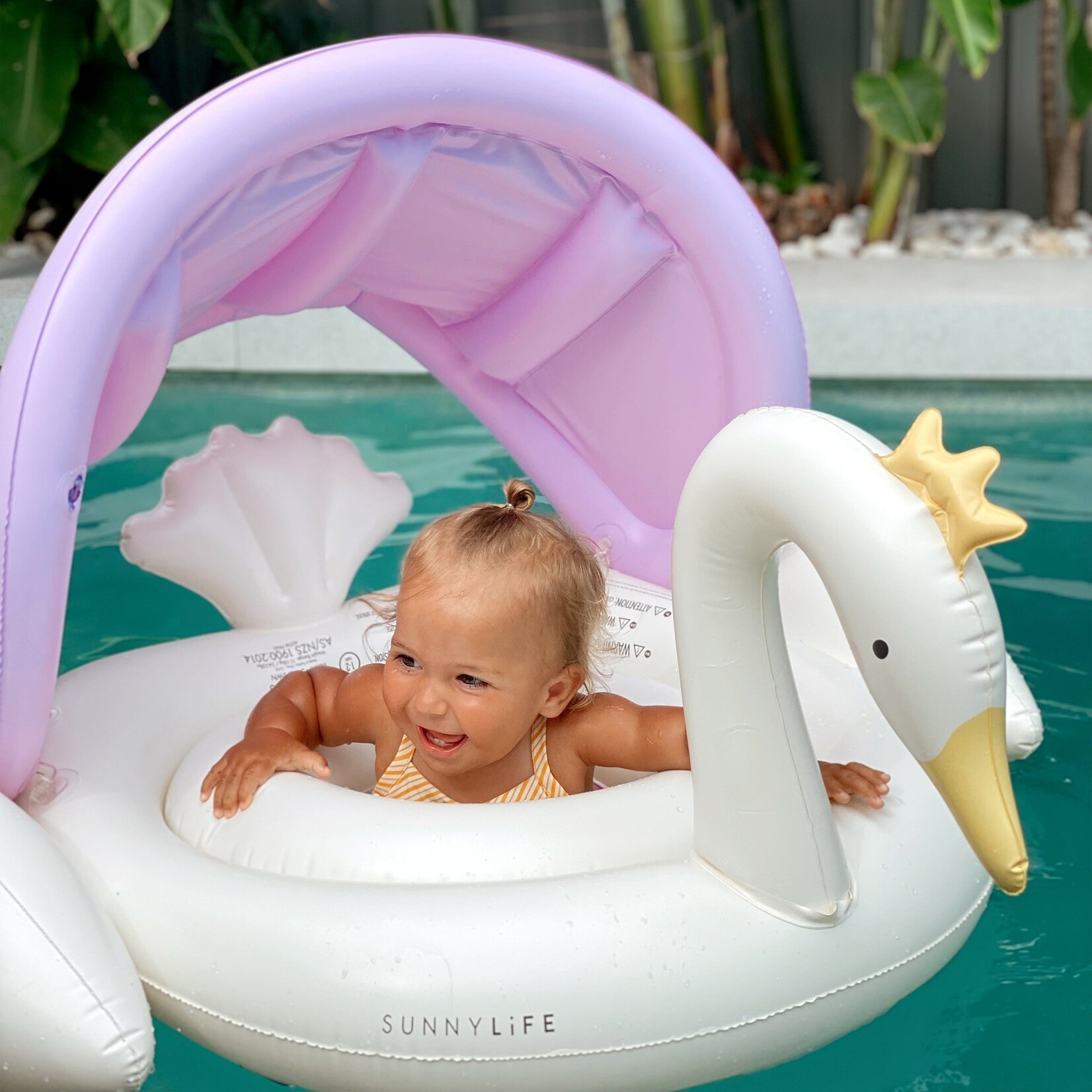 Baby Float Swan