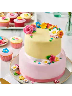 FunCakes FunCakes Rolfondant Multipack Pink Colour Palette 5x100 g