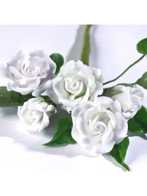 Renshaw Renshaw Flower & Modelling Paste -Wit- 1 kg