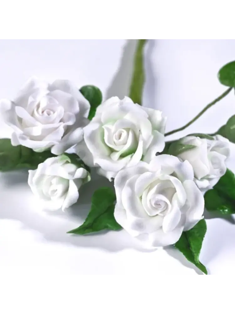 Renshaw Renshaw Flower & Modelling Paste -Wit- 1 kg