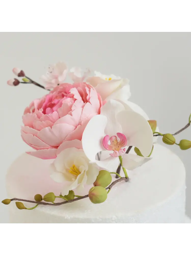 FunCakes FunCakes Gum Paste Wit 1 kg