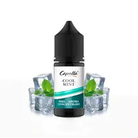 Capella Cool Mint Aroma