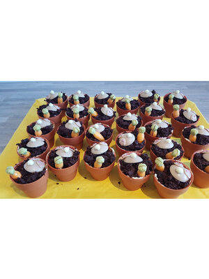 Dobla Dobla Chocoladedecoratie Bloempot Mini (24 stuks)