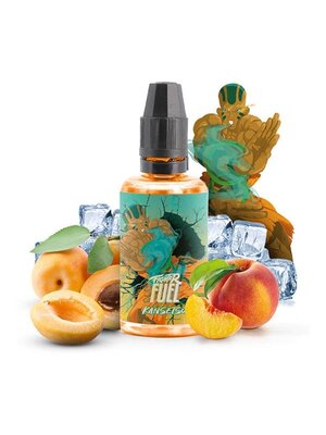 Fighter Fuel Kansetsu Aroma