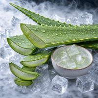 Aloe Vera Aroma