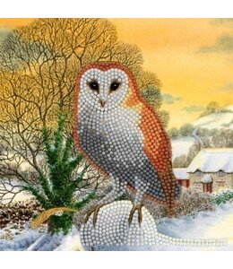 ITZ Crystal card - Winter owl