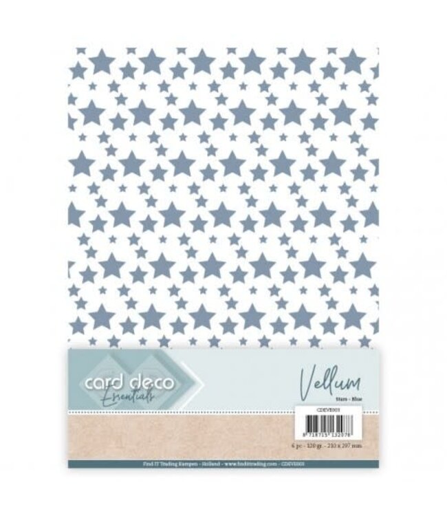 Card deco Vellum - Stars Blue