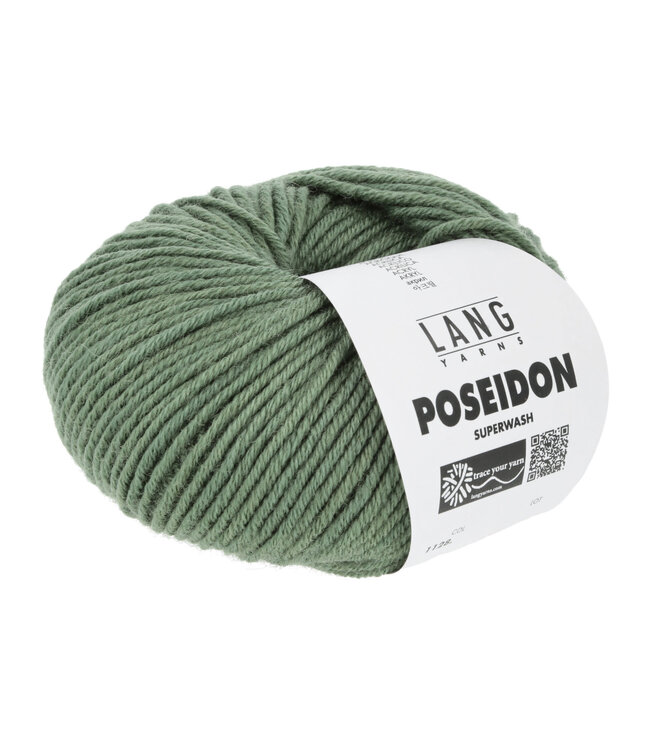 LangYarns Poseidon  91