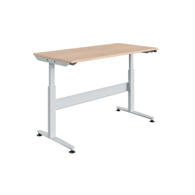 Ergonomiczny stół roboczy przemysłowy 140 kg Elektrycznie regulowany model REGULOG Jasnoszary Ergonomiczny stół roboczy przemysłowy 140 kg Elektrycznie regulowany model REGULOG Jasnoszary