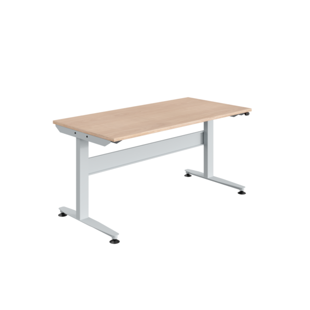Ergonomiczny stół roboczy przemysłowy 140 kg Elektrycznie regulowany model REGULOG Jasnoszary Ergonomiczny stół roboczy przemysłowy 140 kg Elektrycznie regulowany model REGULOG Jasnoszary