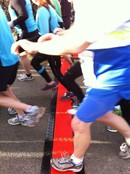 Cable Bridge with Cover  5 tunnels Ø 33 mm cable protection  GUARD-DOG