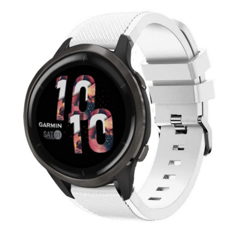 Achat Montre Garmin Venu 2 Plus Gray avec bracelet silicone noir