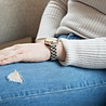 Bandz Bandz Bracelet acier 'Classic' Garmin Lily 2 (argent) Bandz Bandz Bracelet acier 'Classic' Garmin Lily 2 (argent)