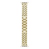 xoxo Wildhearts xoxo Wildhearts Bracelet acier Apple Watch - Chain strap (gold) - 38/40/41/42mm xoxo Wildhearts xoxo Wildhearts Bracelet acier Apple Watch - Chain strap (gold) - 38/40/41/42mm