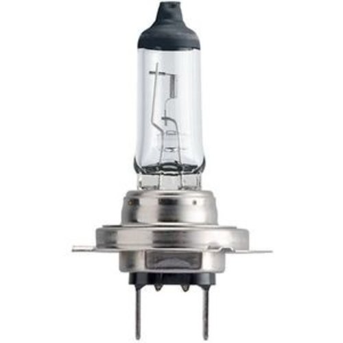 Philips Lamp  12V 35/35W S3 City Vision PX43T | 1 Piece