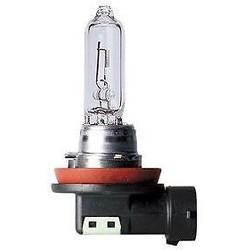 Lamp  12V 65W H9 PGJ19-5 | 1 Piece