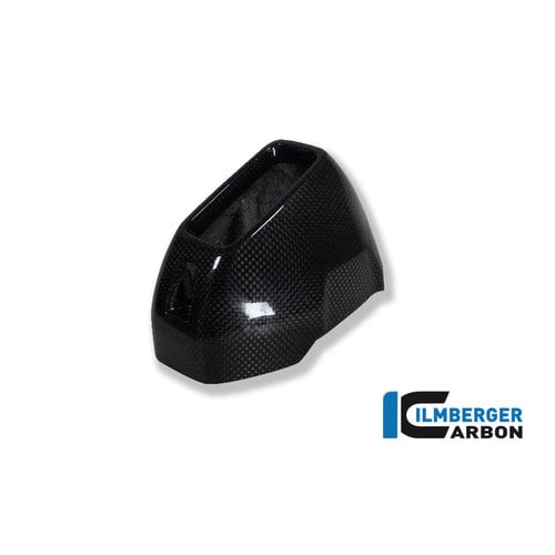 Ilmberger Carbon Protecteur de Silencieux (Arrière) BMW R 1200 GS ('13-'18)