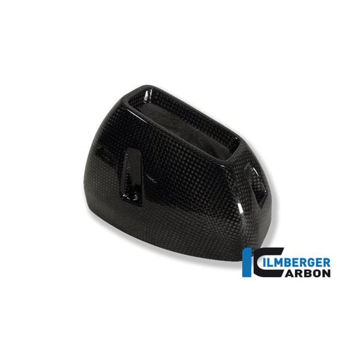 Ilmberger Carbon Schalldämpferschutz (Hinten) BMW R 1200 GS ('13-'18)