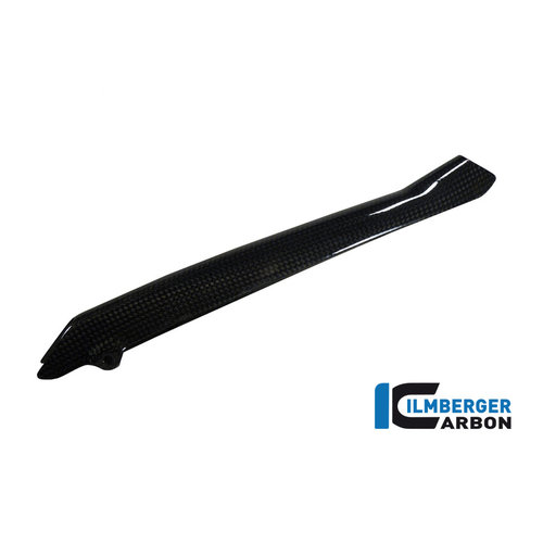 Ilmberger Carbon Couvercle de Tuyau de Frein BMW R 1200 GS ('13-'18)