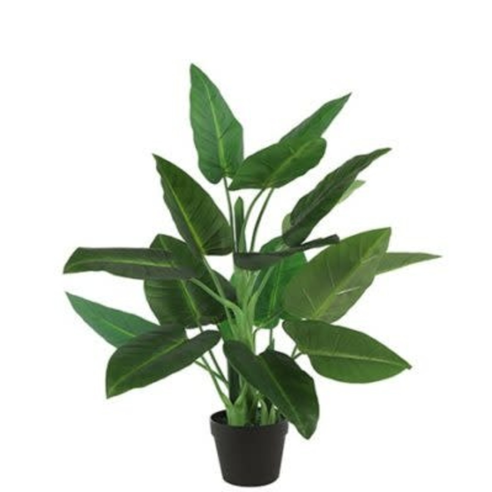 Countryfield Plante artificielle Strelitzia L vert 50x130 cm