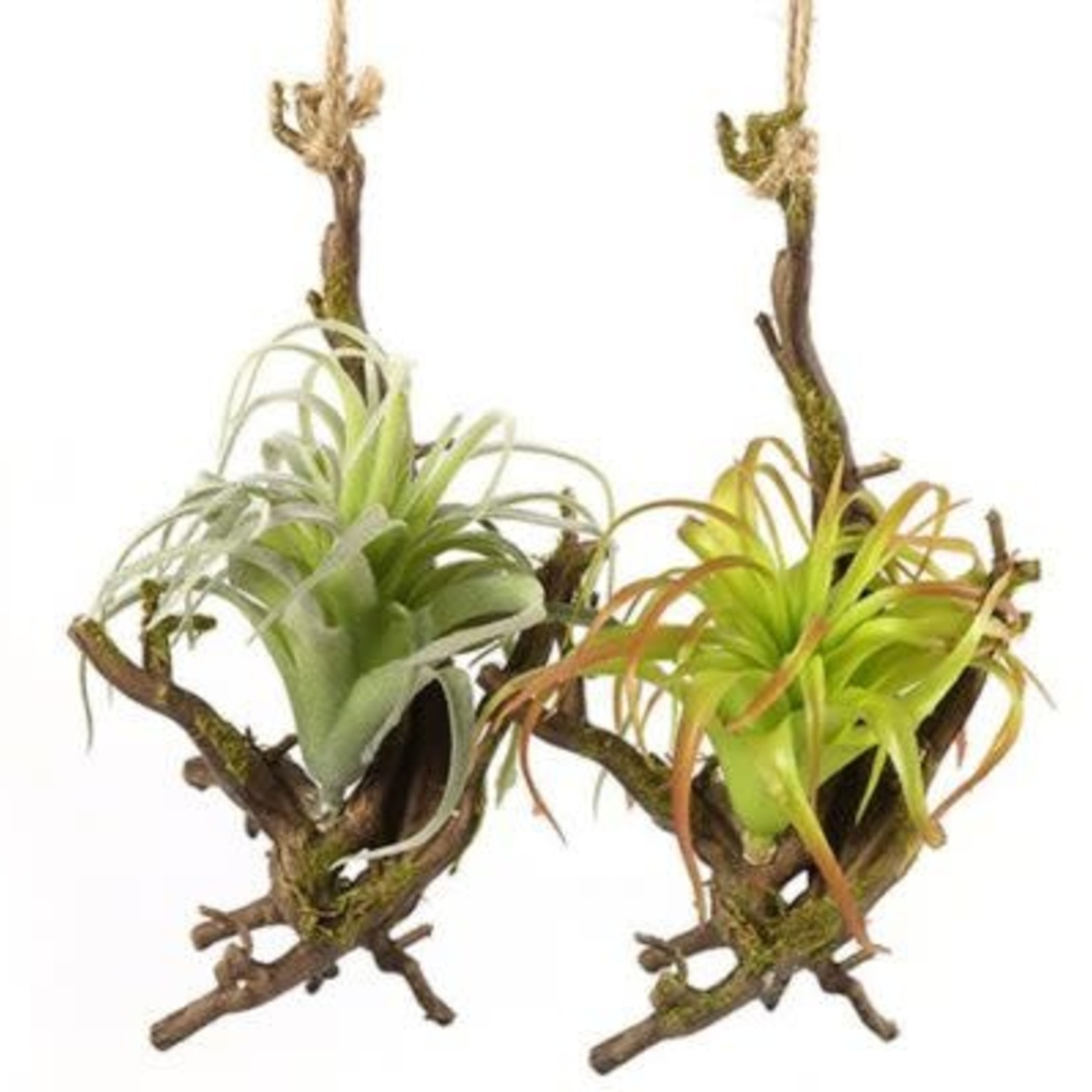Plante artificielle Tillandsia vert - Urban-styl.be