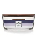 Woodwick Woodwick trilogy Luxueuse soirée Ellipse