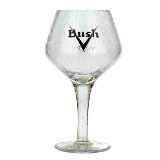 Dubuisson Bush Bierglas