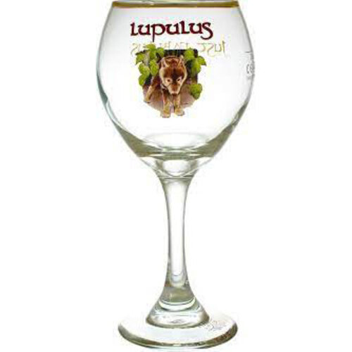 Lupulus Bierglas op voet 25cl 