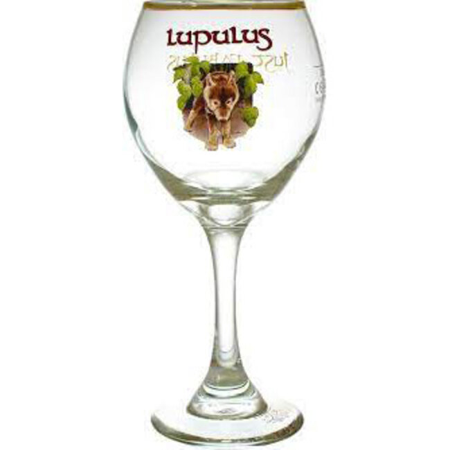 Lupulus Bierglas op voet 25cl